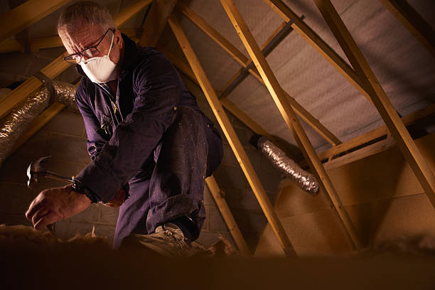 Best Geographic-Specific Insulation Services in Lockwood, MT